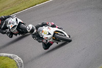 Advanced Group White Bikes